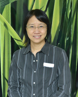 dr. jing li hku